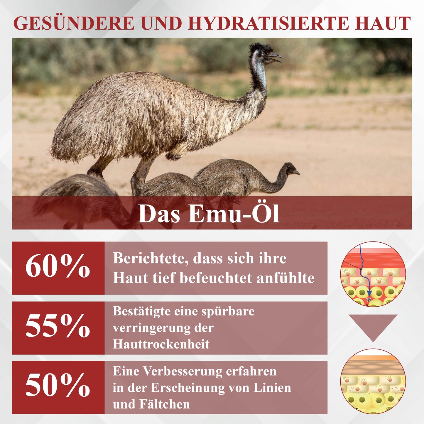 RelievaDerm™ EmuÖl Hauttherapie Botanische Salbe